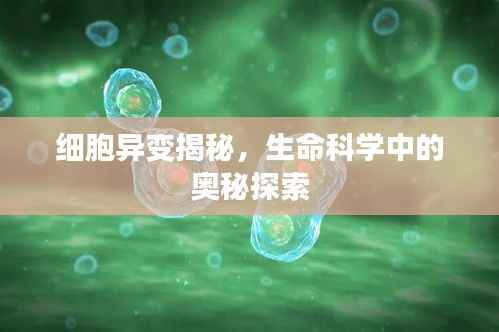 细胞异变揭秘，生命科学中的奥秘探索