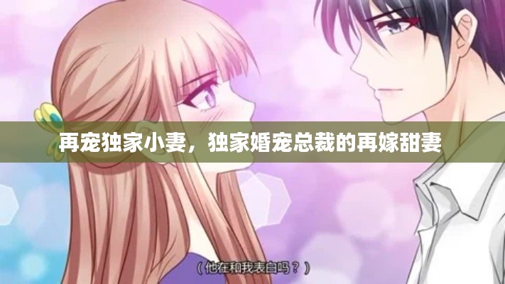 再宠独家小妻，独家婚宠总裁的再嫁甜妻 