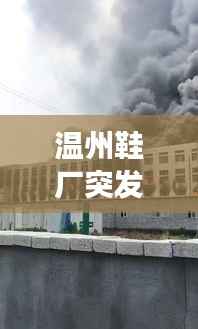 温州鞋厂突发大火，火势凶猛紧急救援行动启动