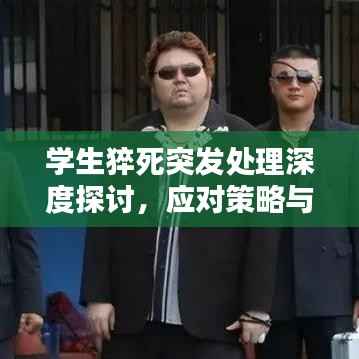 学生猝死突发处理深度探讨,应对策略与反思