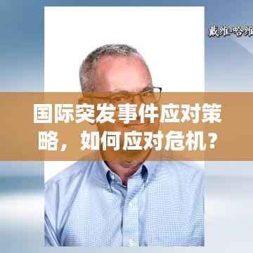 国际突发事件应对策略,如何应对危机?