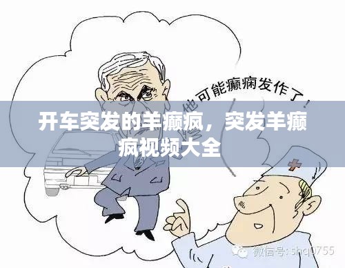 开车突发的羊癫疯,突发羊癫疯视频大全