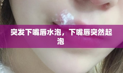 知识产权预算中心 第209页