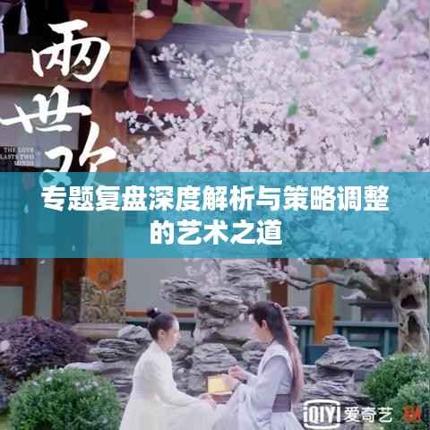 专题复盘深度解析与策略调整的艺术之道