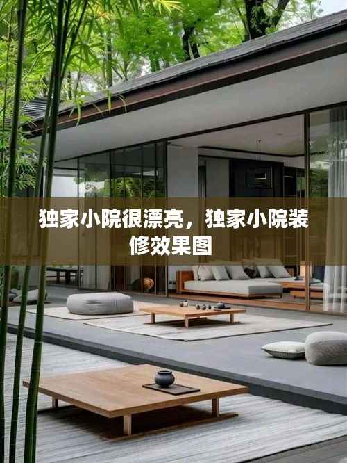 独家小院很漂亮,独家小院装修效果图