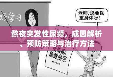 熬夜突发性尿频,成因解析、预防策略与治疗方法