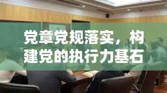党章党规落实,构建党的执行力基石
