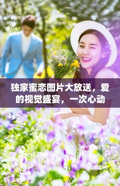 独家蜜恋图片大放送,爱的视觉盛宴,一次心动之旅