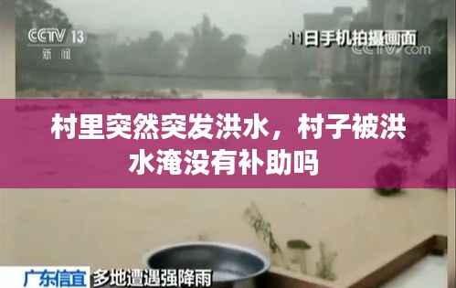 村里突然突发洪水,村子被洪水淹没有补助吗