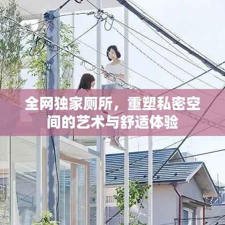 全网独家厕所,重塑私密空间的艺术与舒适体验