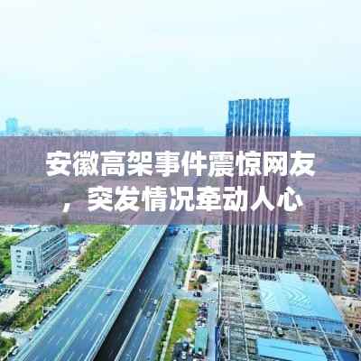 安徽高架事件震惊网友,突发情况牵动人心