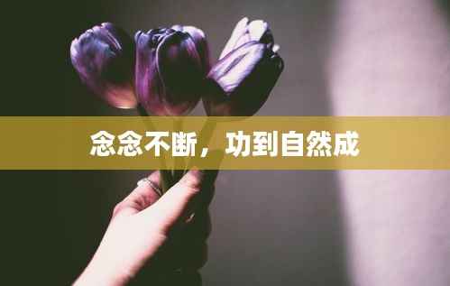 念念不断,功到自然成