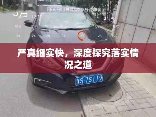 严真细实快,深度探究落实情况之道