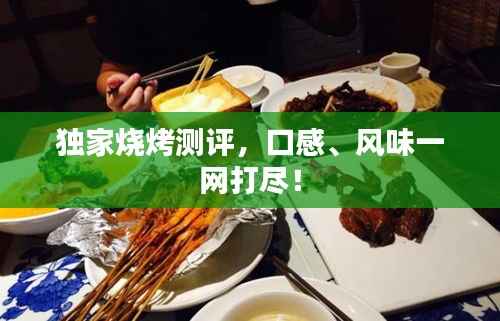 独家烧烤测评,口感、风味一网打尽!