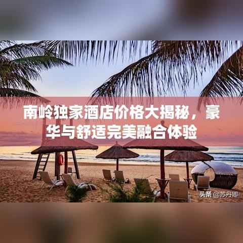 南岭独家酒店价格大揭秘,豪华与舒适完美融合体验