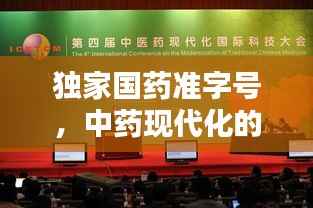 独家国药准字号,中药现代化的领航标杆