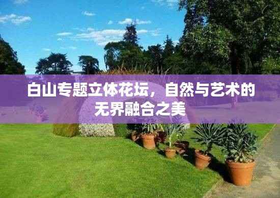 白山专题立体花坛,自然与艺术的无界融合之美