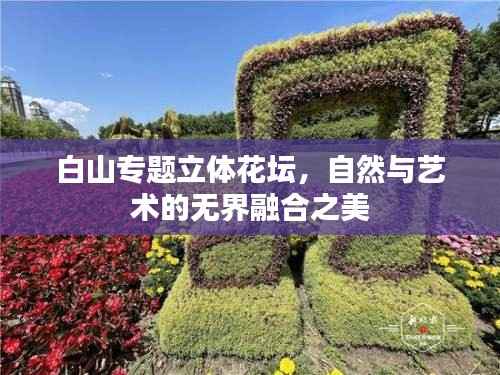 白山专题立体花坛,自然与艺术的无界融合之美
