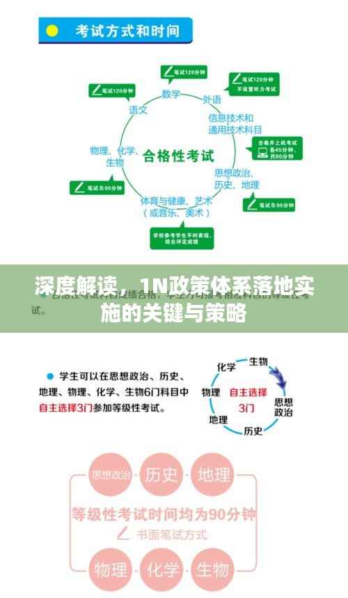 深度解读,1N政策体系落地实施的关键与策略