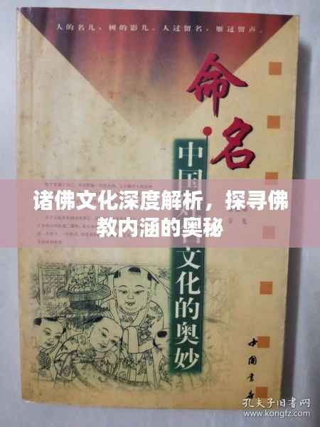 诸佛文化深度解析,探寻佛教内涵的奥秘