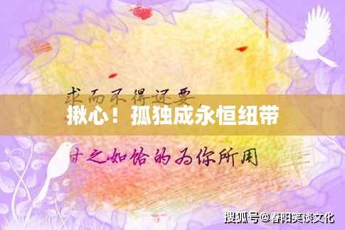 揪心!孤独成永恒纽带