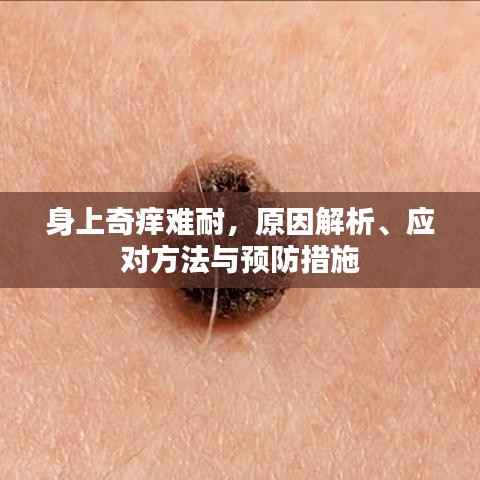 身上奇痒难耐,原因解析、应对方法与预防措施