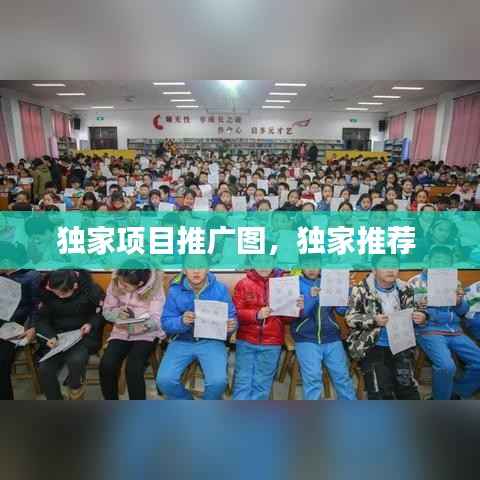 独家项目推广图,独家推荐