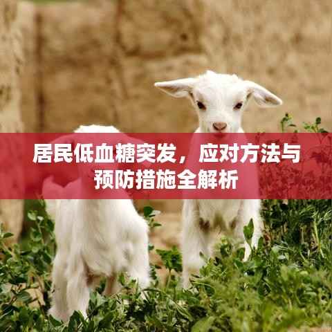 居民低血糖突发,应对方法与预防措施全解析