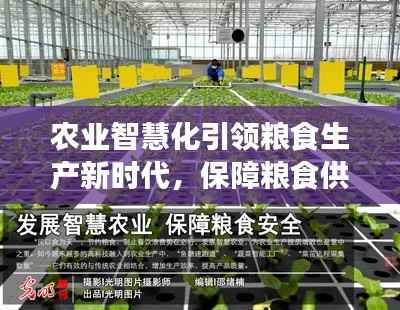 农业智慧化引领粮食生产新时代,保障粮食供应不断档