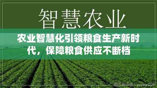 农业智慧化引领粮食生产新时代,保障粮食供应不断档