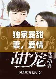 独家宠甜妻,爱情的独特宠溺之旅