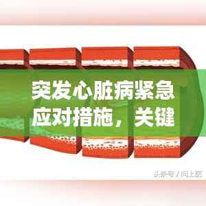 突发心脏病紧急应对措施,关键时刻救命指南!