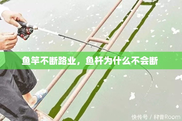 鱼竿不断路业,鱼杆为什么不会断