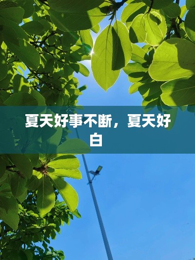 夏天好事不断,夏天好白