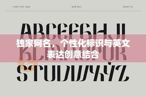 独家网名,个性化标识与英文表达创意结合