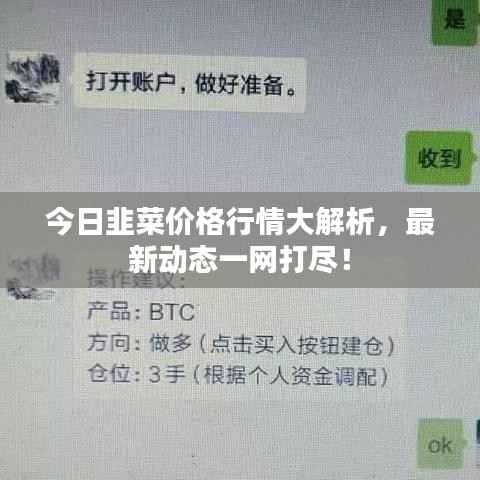 今日韭菜价格行情大解析,最新动态一网打尽!