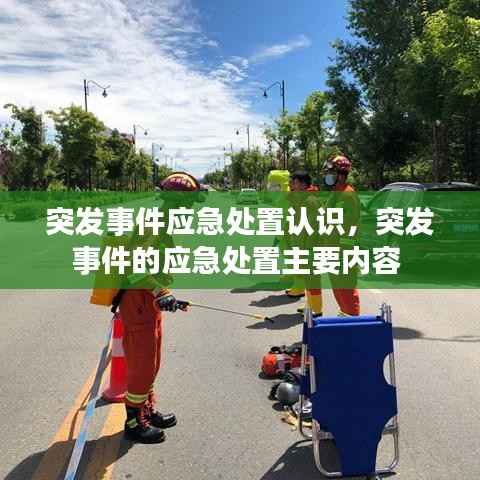 突发事件应急处置认识,突发事件的应急处置主要内容