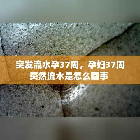 突发流水孕37周,孕妇37周突然流水是怎么回事