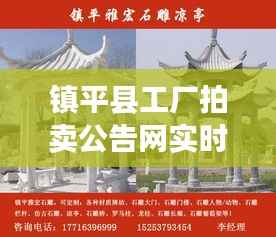 镇平县工厂拍卖公告网实时更新,最新动态揭秘!