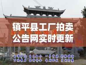 镇平县工厂拍卖公告网实时更新,最新动态揭秘!