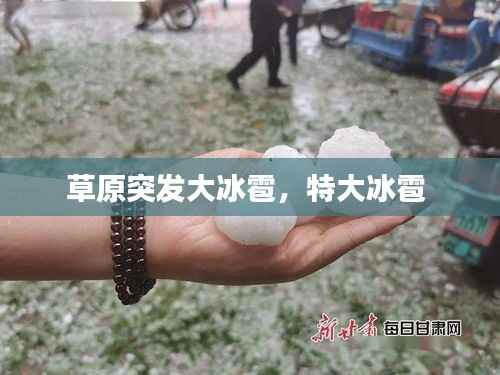 草原突发大冰雹,特大冰雹