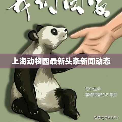 上海动物园最新头条新闻动态