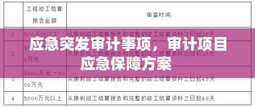 应急突发审计事项,审计项目应急保障方案