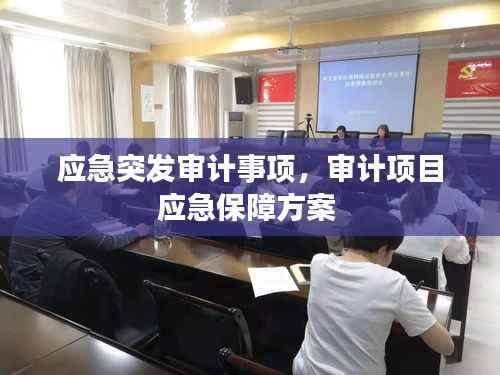 应急突发审计事项,审计项目应急保障方案