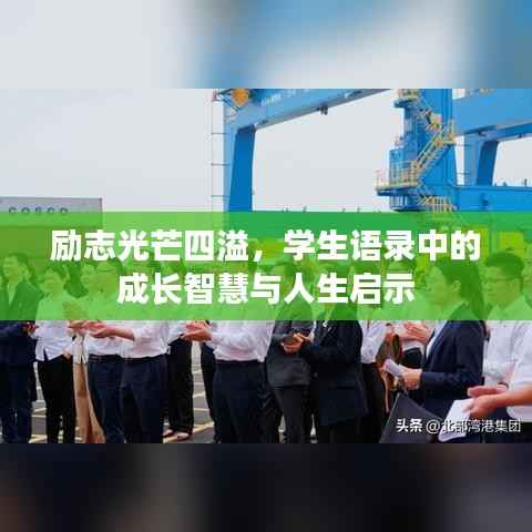 励志光芒四溢,学生语录中的成长智慧与人生启示