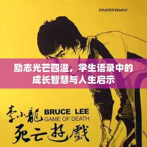 励志光芒四溢,学生语录中的成长智慧与人生启示