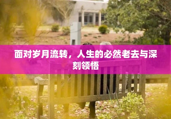 面对岁月流转，人生的必然老去与深刻领悟