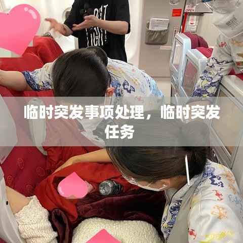 临时突发事项处理,临时突发任务