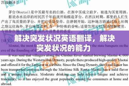 解决突发状况英语翻译，解决突发状况的能力 