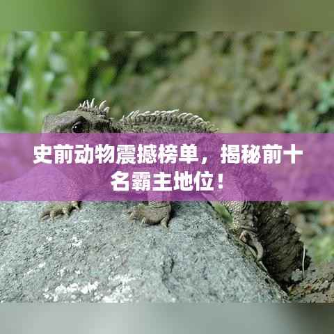 史前动物震撼榜单,揭秘前十名霸主地位!